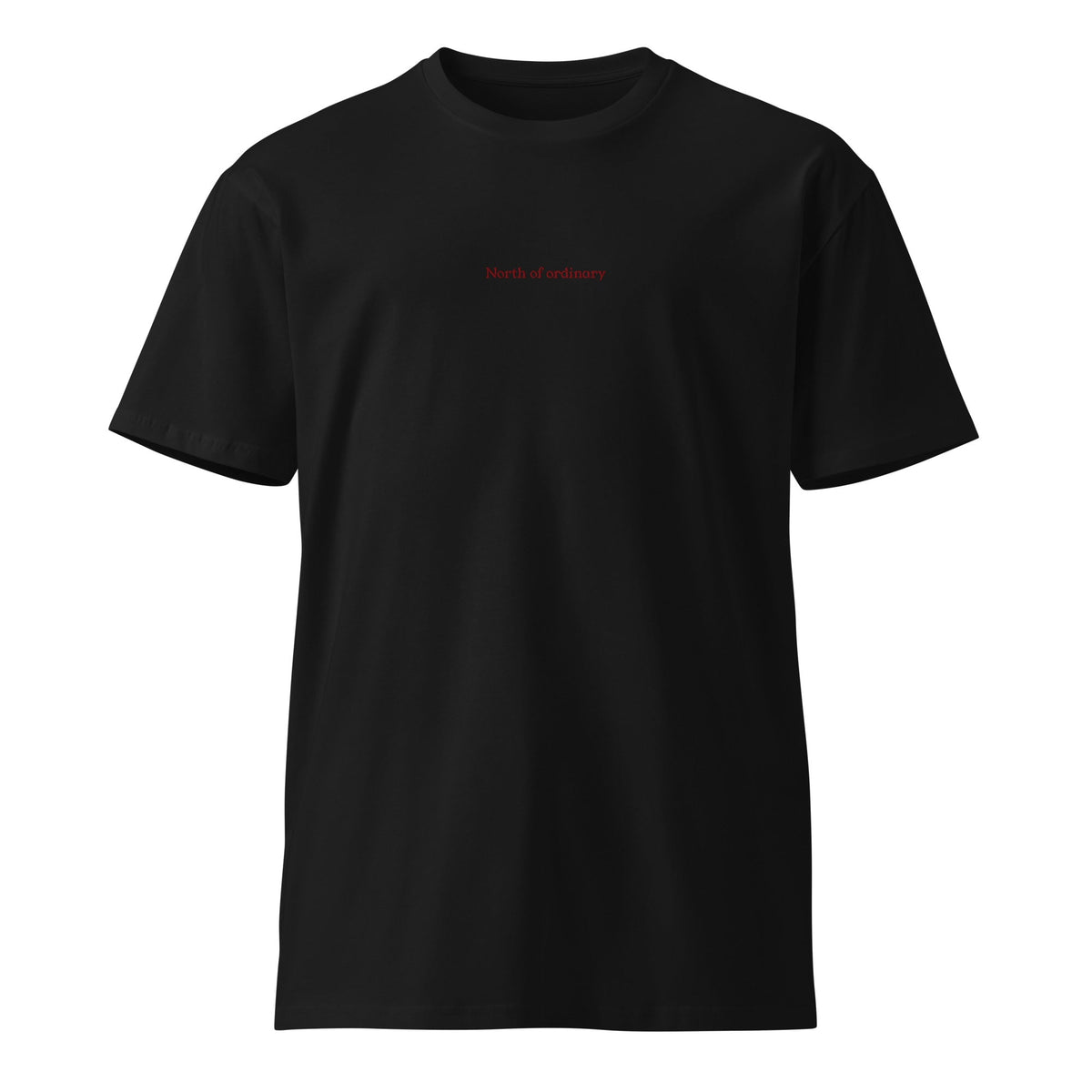 Everyday Tee in black, front view.